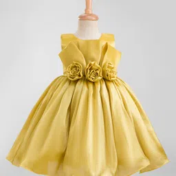 Bluebell Tissue Woven Sleeveless Party Frock With Floral Corsage - Golden-picture-11
