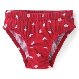 Babyhug 100% Cotton Single Jersey Knit Panties Stripes & Floral Print Pack of 3 - Multicolor image 2