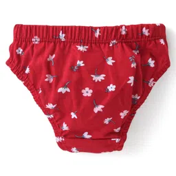 Babyhug 100% Cotton Single Jersey Knit Panties Stripes & Floral Print Pack of 3 - Multicolor image 3