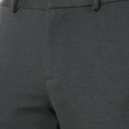 Allen Solly Grey Regular Fit Textured Trousers image 4