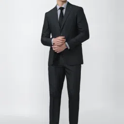 Peter England Grey Slim Fit Checks Two Piece Suit-picture-39