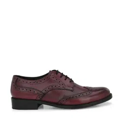 Carlo Romano Men's Bordo Brogue Shoes-image-97