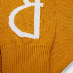 Gini & Jony Kids Yellow Cotton Full Sleeves Sweater image 4