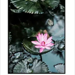 Indian Classic Art Multicolor Canvas Abstract Wall Art image 2