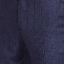 Park Avenue Blue Regular Fit Checks Trousers image 5