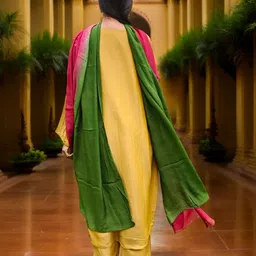 Phulkari Forever Colourblocked Dupatta with Phulkari image 2