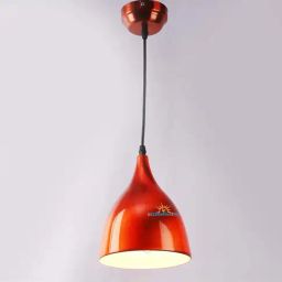 DecorativeRay Copper Iron Hanging Light - Set of 1-picture-30