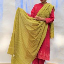 Chidiyaa Parrot Green Handprinted Pure Cotton Dupatta SKD-picture-30