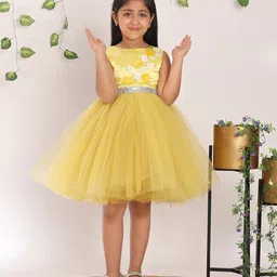 Toy Balloon Kids Net Woven Sleeveless Floral Applique Detailed Dress - Mustard Yellow image 1