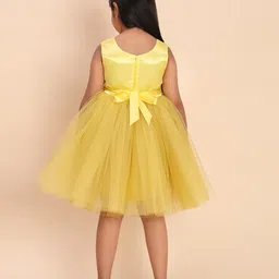 Toy Balloon Kids Net Woven Sleeveless Floral Applique Detailed Dress - Mustard Yellow image 3