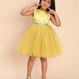 Toy Balloon Kids Net Woven Sleeveless Floral Applique Detailed Dress - Mustard Yellow image 4