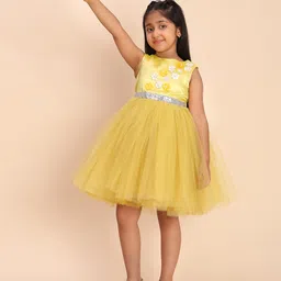 Toy Balloon Kids Net Woven Sleeveless Floral Applique Detailed Dress - Mustard Yellow image 5