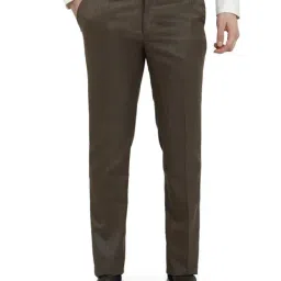 Raymond Dark Brown Checked Regular Fit Trousers-image-24