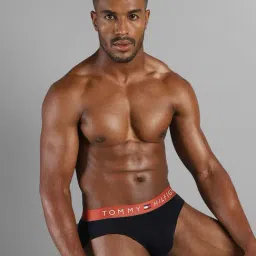 TOMMY HILFIGER Desert Sky, Copper Sun & Brisk Blue Mid Rise Briefs - Pack Of 3 image 5