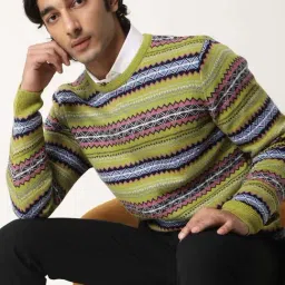 Rare Rabbit Green Slim Fit Fit Textured Sweatshirt image 4