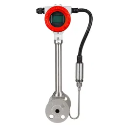 SANT 2½ inch (65 mm )Vortex Steam Flow Meter ,WM 10 image 1