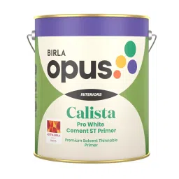 Birla Opus Calista Pro White Cement ST 20 L Smooth Finish Primer for Exterior Wall Surface-picture-28