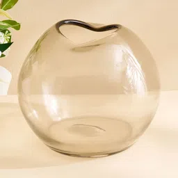 Home Centre Botanica Flufois Transparent Glossy Glass Fluid Flower Vase-picture-20