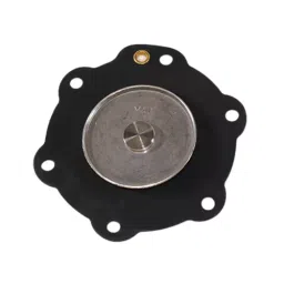 TECHNO Diaphragm for GOYEN 25 MM image 2