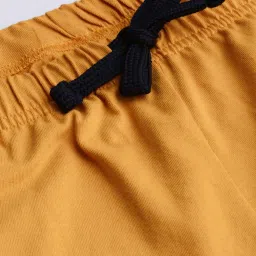 Dillinger Yellow Cotton Regular Fit Colour Block Trackpants image 5