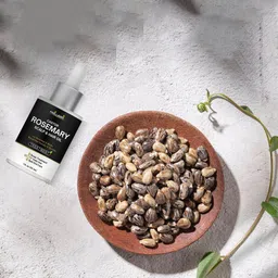 Phillauri Set Of 3 Castor Rosemary Scalp & Hair Oil For Boost Hair Growth-30ml Each image 1