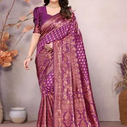 Snofi Creation Ethnic Motifs Woven Design Zari Banarasi Saree-picture-24