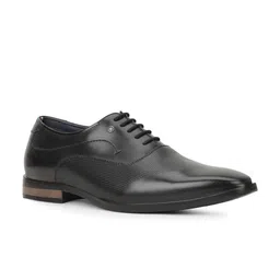 Bata Men Formal Oxfords-picture-34