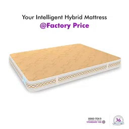 SLEEP SPA Beige Super Contour ISP Tech Bonnell Signal King Mattress image 2