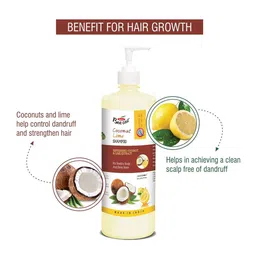 Beeone Coconut Lime Shampoo- 1000 ml image 4