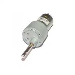 Johnson Geared Motor 100 RPM-picture-11