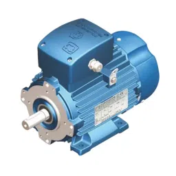 Rotomotive Three Phase Flame Proof Induction Motor IE2 Foot Mounted 4 Pole 5 HP Power & 112 Frame-picture-24