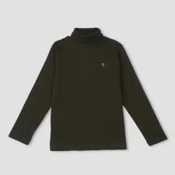 Palm Tree Kids Green Cotton Regular Fit Full Sleeves Skivvy-picture-16