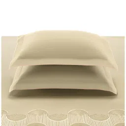 SANSAAR A D'DECOR BRAND LIVE CONSCIOUSLY Celadon Floral Soft Bed Sheet with 2 Pillow Covers (King) image 5