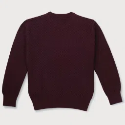 Gini & Jony Kids Maroon Cotton Textured Pattern Full Sleeves Sweater image 2