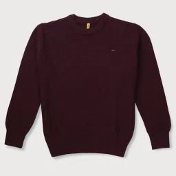 Gini & Jony Kids Maroon Cotton Textured Pattern Full Sleeves Sweater image 1