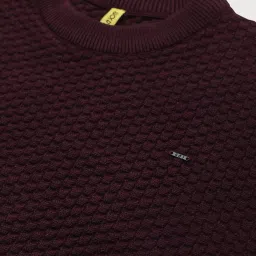 Gini & Jony Kids Maroon Cotton Textured Pattern Full Sleeves Sweater image 4