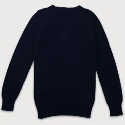 Gini & Jony Kids Navy Cotton Applique Full Sleeves Sweater image 2