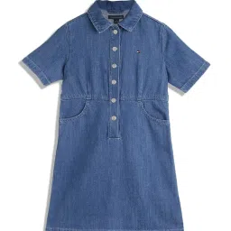 TOMMY HILFIGER Girls Blue Solid Dress image 1