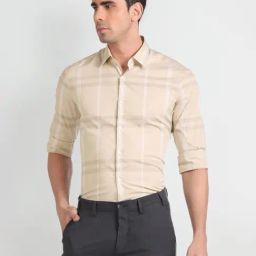 Arrow Beige Cotton Slim Fit Checks Shirt-picture-5