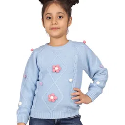 JoE Hazel Full Sleeves Cable Knit Designed & Floral Embellished Sweater - Sky Blue-picture-28