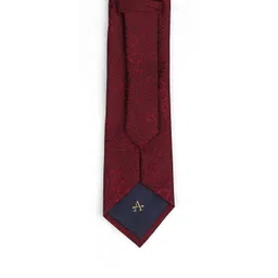 Arrow Men Accessory Gift Set of Paisley Tie And Pocket Square Set image 2