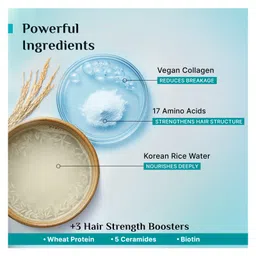 Pilgrim Korean Rice Water & Collagen Advanced Damage Repair Shampoo - 200 ml image 4