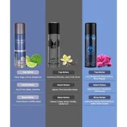 Police Light Blue, Wings Titanium & To Be Man Deo Combo Set image 2