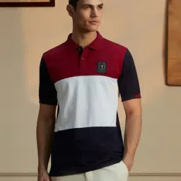 Peter England Multicolored Cotton Regular Fit Colour Block Polo T-Shirt-picture-23