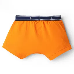 Pine Kids Cotton Elastane Knit Trunks Pack Of 3 (Colours May Vary) image 5