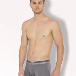van heusen Vh Innerwear Grey Cotton Regular Fit Trunks image 3