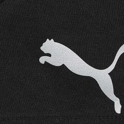 Puma Kids EVOSTRIPE 8 Black Cotton Logo Shorts image 3