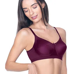 Amante Burgundy Non Wired Non Padded Everyday Bra image 3