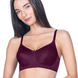 Amante Burgundy Non Wired Non Padded Everyday Bra image 1