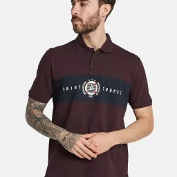 Octave Wine Regular Fit Color-Block Polo T-Shirt image 1